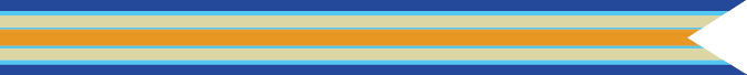 Inherent Resolve Campaign Campaign Streamer (4 bronze stars)